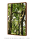 Quadro Decorativo Imbé 05 na internet