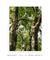 Quadro Decorativo Imbé 05 - loja online