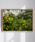 Quadro Decorativo Palmeiras 08