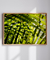 Quadro Decorativo Palmeiras 10