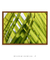 Quadro Decorativo Palmeiras 12 - comprar online