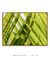 Quadro Decorativo Palmeiras 12 - comprar online