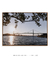 Quadro Decorativo Ponte Hercílio Luz 14 - comprar online