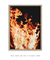 Imagem do Quadro Decorativo Salamandras 25