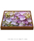 Quadro Flores 02 na internet