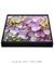 Quadro Flores 02 - loja online