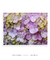 Quadro Flores 02