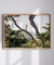 Quadro Floripa - Barra da Lagoa 11