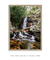 Imagem do Quadro Floripa - Cachoeira do Poção 03