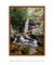 Quadro Floripa - Cachoeira do Poção 03 - comprar online