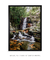 Quadro Floripa - Cachoeira do Poção 03 - Galeria Fernanda Marcondes | Quadros Decorativos