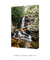 Imagem do Quadro Floripa - Cachoeira do Poção 03