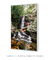 Quadro Floripa - Cachoeira do Poção 03