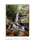 Quadro Floripa - Cachoeira do Poção 03 na internet