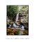 Quadro Floripa - Cachoeira do Poção 03 - loja online