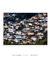 Quadro Floripa - Costeira do Pirajubaé 05 - loja online