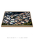 Quadro Floripa - Costeira do Pirajubaé 05