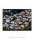 Quadro Floripa - Costeira do Pirajubaé 05 - loja online