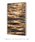 Quadro Floripa - Costeira do Pirajubaé 10 - comprar online