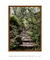 Quadro Floripa - Lagoinha do Leste 19 - comprar online