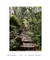 Quadro Floripa - Lagoinha do Leste 19 - loja online