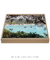 Quadro Floripa - Praia da Armação 09