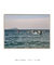 Quadro Floripa - Praia da Armação 17