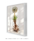 Quadro Floripa - Praia da Joaquina 05 - loja online
