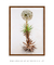 Quadro Floripa - Praia da Joaquina 05 - comprar online