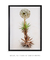 Quadro Floripa - Praia da Joaquina 05 - Galeria Fernanda Marcondes | Quadros Decorativos