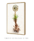 Quadro Floripa - Praia da Joaquina 05 - comprar online