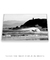 Quadro Floripa - Praia de Naufragados 01 - loja online