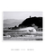 Quadro Floripa - Praia de Naufragados 01 - loja online