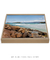 Quadro Floripa - Praia de Naufragados 03
