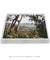 Quadro Floripa - Praia de Naufragados 17 - loja online