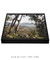 Quadro Floripa - Praia de Naufragados 17 - loja online