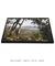 Quadro Floripa - Praia de Naufragados 17 - loja online
