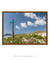 Quadro Floripa - Praia do Campeche 01 - comprar online