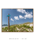 Quadro Floripa - Praia do Campeche 01 - comprar online