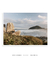 Quadro Floripa - Praia do Santinho 09 - loja online