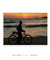 Quadro Floripa - Praia dos Ingleses 22 - loja online