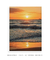 Quadro Floripa - Praia dos Ingleses 24 - loja online