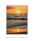 Quadro Floripa - Praia dos Ingleses 24