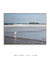 Quadro Floripa - Praia dos Ingleses 25