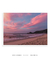 Quadro Floripa - Praia Mole 18 - loja online