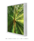 Quadro Folhagens 01 - loja online