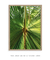 Imagem do Quadro Folhagens 01