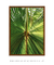 Quadro Folhagens 01 - comprar online