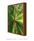 Quadro Folhagens 01 na internet