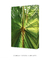 Imagem do Quadro Folhagens 01